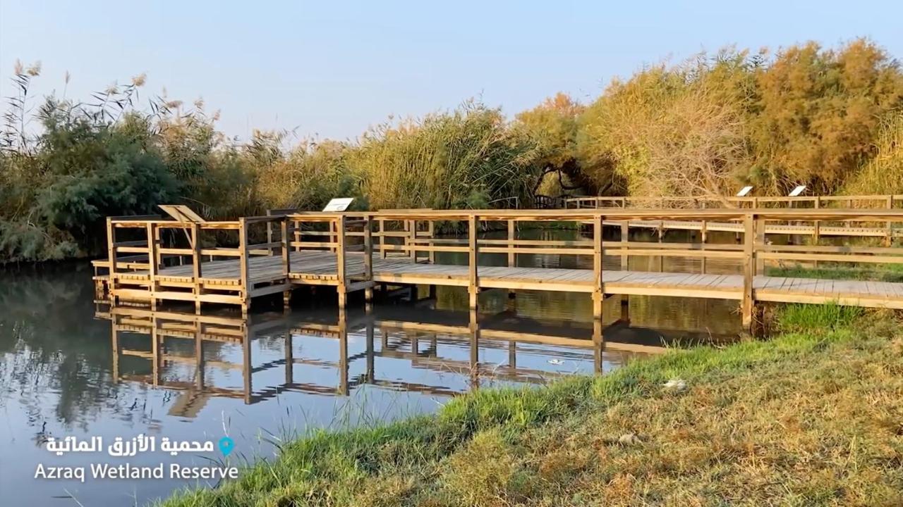Azraq Lodge Al Azraq ash Shamālī Eksteriør billede